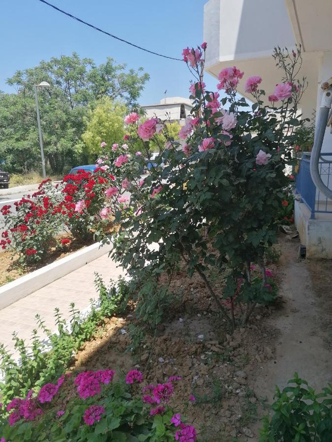 Appartamento Elva Creta Candia Esterno foto